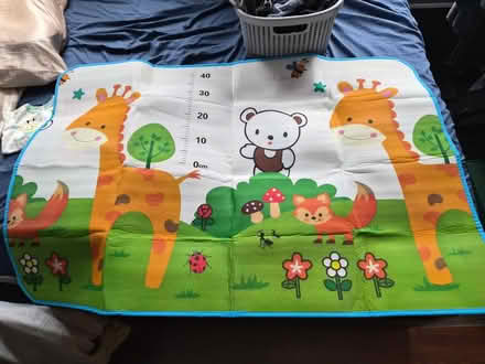 Photo of free reversible play mat (woodhaven) #2
