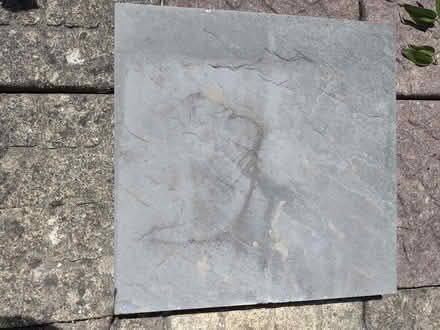 Photo of free 4 x Paving slabs BH5 2AB (Pokesdown BH5) #1