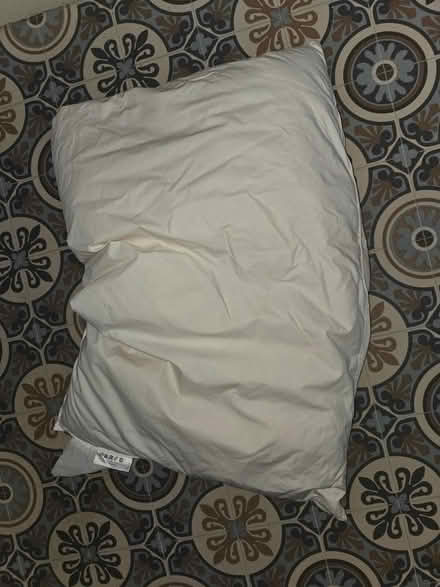 Photo of free Feather pillow (BS5) #1