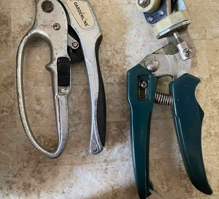 Photo of free Secateurs (Wickwar GL12) #1