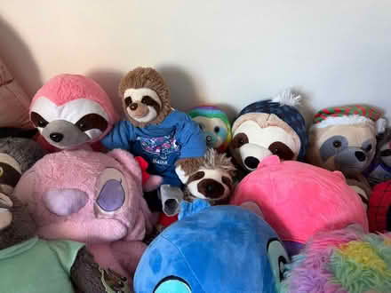 Photo of free Sloth stuffed animal (Orlando) #2