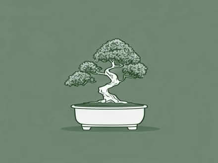 Photo of Bonsai material (Sefton L31) #1