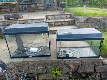 Photo of free 2 glass tropical fish tanks (Caton Green, LA2) #2