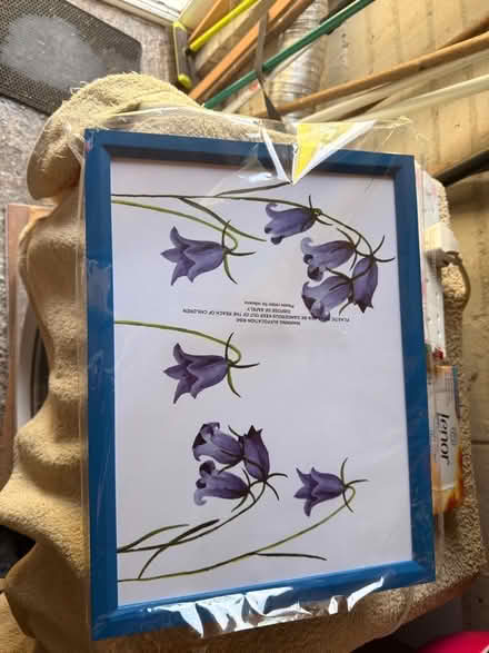 Photo of free Blue laptop tray (Newlyn TR18) #1