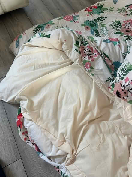 Photo of free Kingsize Duvets (Victoria Park M13) #2