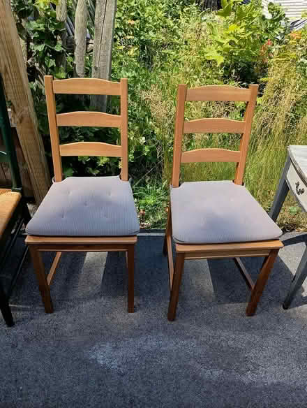 Photo of free Two Ikea chairs (Millbury, MA) #1