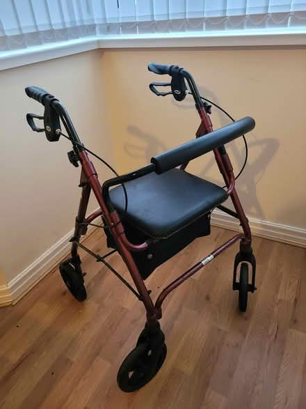 Photo of free Walker (Longbenton UK) #1