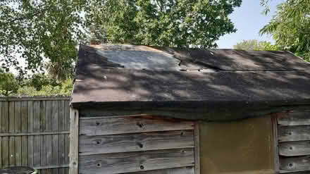 Photo of free Garden shed (Berrylands KT5) #3