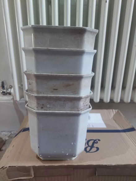 Photo of free Plant pot (SW16) #3