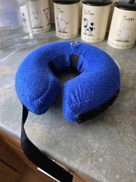 Photo of free Inflatable dog cone (Portchester PO16) #1