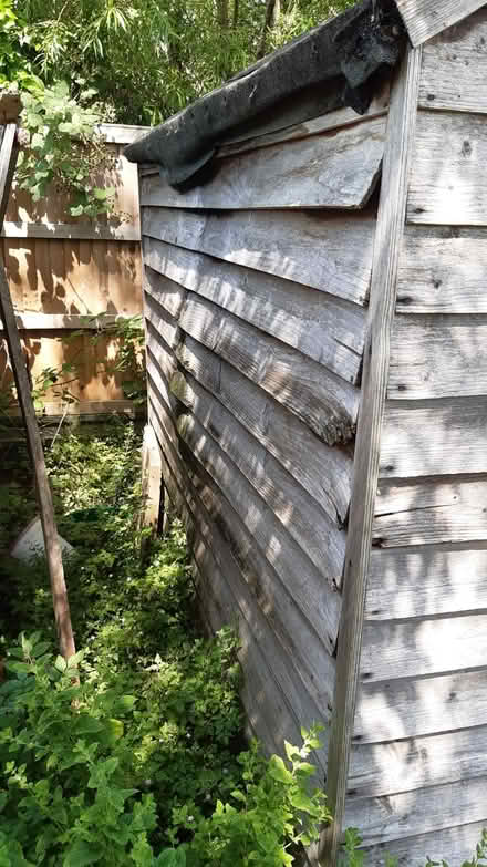 Photo of free Garden shed (Tolworth KT5) #2
