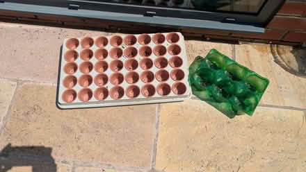 Photo of free Little plants pots on a tray (Low Leighton SK22) #1