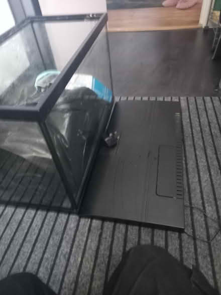 Photo of free Fish tank (Loughborough LE11) #1