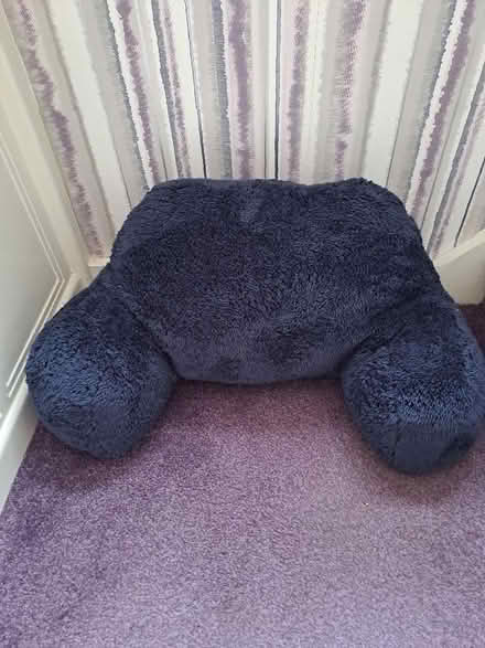 Photo of free Reading pillow (Harefield SO19) #1