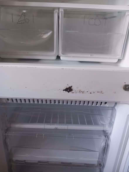 Photo of free Large Fridge/freezer (Wallasey CH44) #3