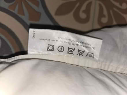Photo of free Feather pillow (BS5) #2