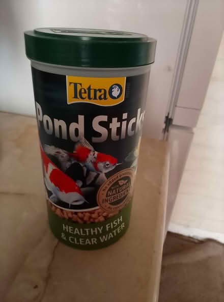 Photo of free pond fish food (waterlooville) #1