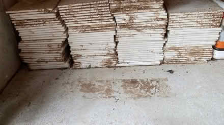 Photo of free 6x6 white tile (center moriches NY) #3