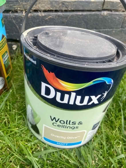 Photo of free Olive green emulsion paint (EH5 3DH) #1