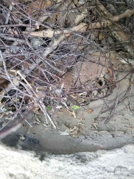 Photo of free Chiminea (Malvern Wells WR14) #2
