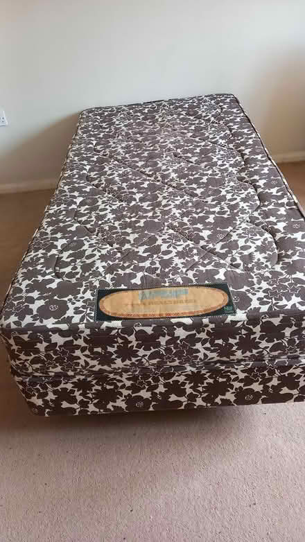 Photo of free Single Divan Bed (Moorstock TN25) #1