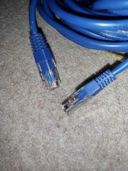 Photo of free Long Ethernet Cable (Kilmacanogue, North Co Wicklow) #2