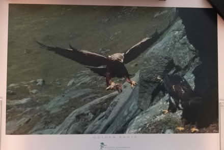 Photo of free Photographic print x 1 (B) (Darland, Medway) #1
