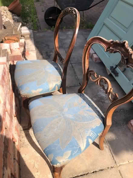 Photo of free Fabric seat chairs (Horsebridge SY5) #2