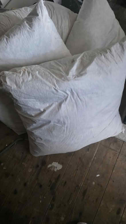 Photo of free 63x63cm Feather Cushions (Nelson, BB9) #1