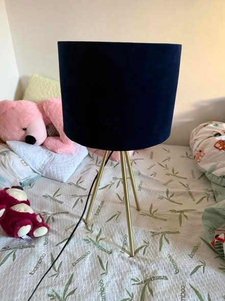 Photo of free Lamp (Moorfields L3 2EZ) #1