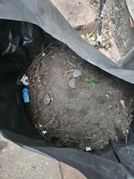 Photo of free Garden soil (L9) #1