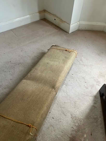 Photo of free Large piece of carpet for allotment weed suppressor etc (Botley OX2) #3