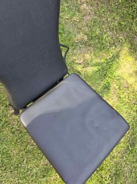 Photo of free Gym Bench (Brandon DH7) #2