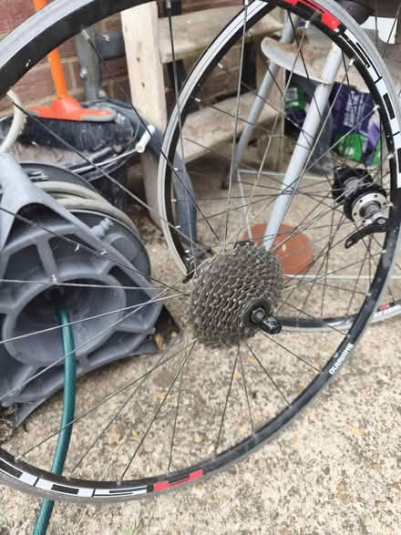 Photo of free Bicycle wheels (Havant PO9) #2