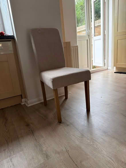 Photo of free Dining chairs (Southfields SW18) #1