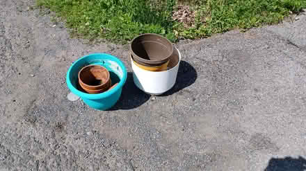 Photo of free Plant pots (near Britannia Plaza) #1