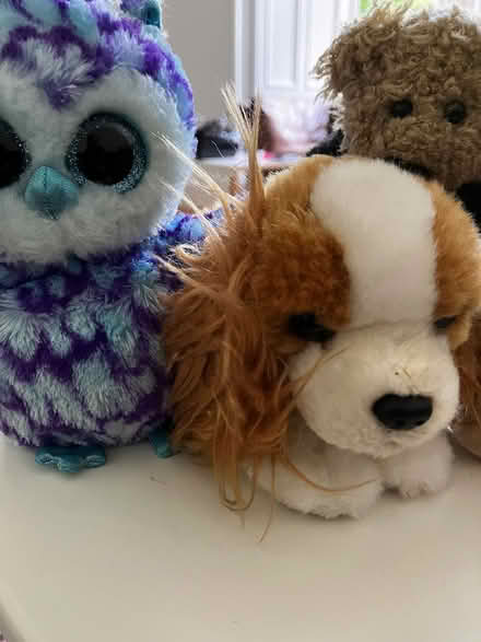 Photo of free Animal plush toys (Newington, EH16) #2