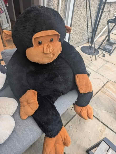 Photo of free Large Cuddly Toys (Dublin 16) #3