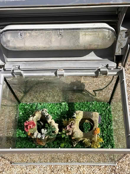 Photo of free Small fish tank (Barnham PO22) #2