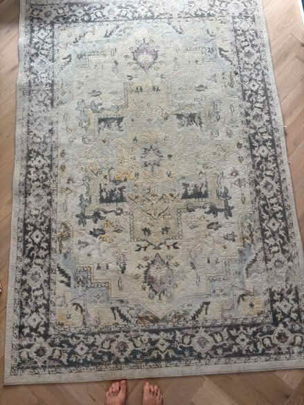 Photo of free Rug (south stoke RG8) #1