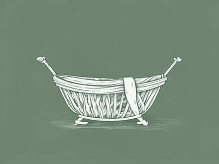 Photo of Moses basket (Chesham HP5) #1