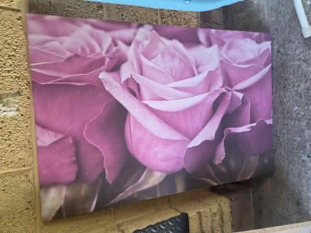 Photo of free Garden bits, shelves, plant posts (Frimley) #3