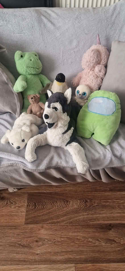 Photo of free Plush Toys (Gravelly Hill B24) #1