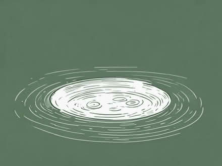 Photo of Pond items (Chapel Hillock PR7) #1