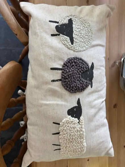 Photo of free Sheep Pillow (Malvern Link WR14) #1