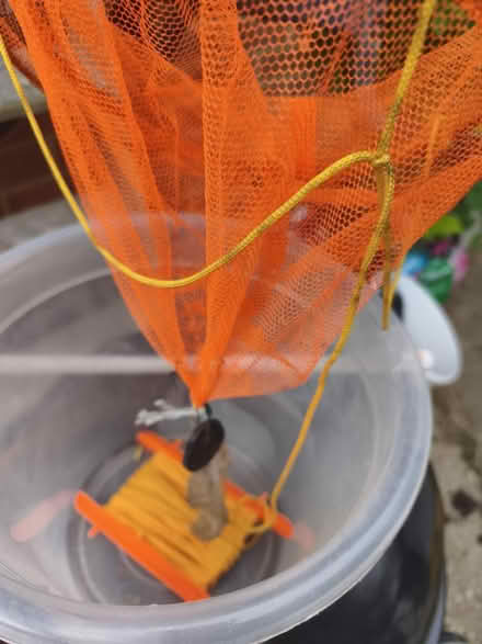 Photo of free Crab bucket and net (Havant PO9) #2