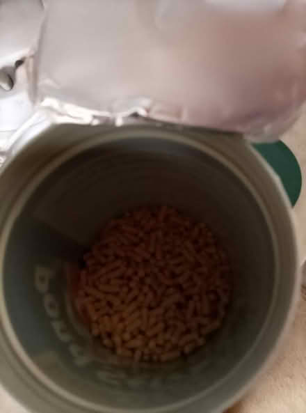 Photo of free pond fish food (waterlooville) #2