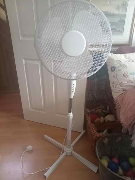 Photo of free Free standing fan (Lower Morden SM4) #1