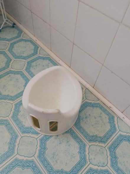 Photo of free Child's potty white (Whoberley CV5) #1