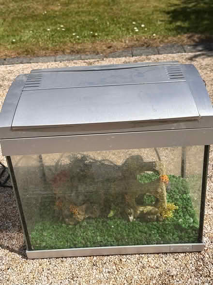 Photo of free Small fish tank (Barnham PO22) #4